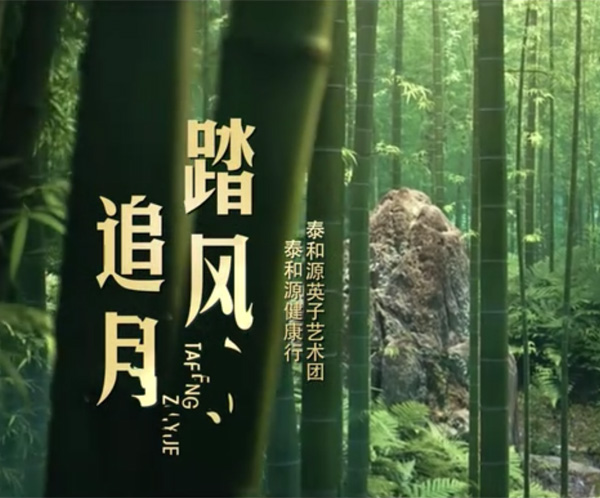 泰和源广场舞版本4（黑色）
