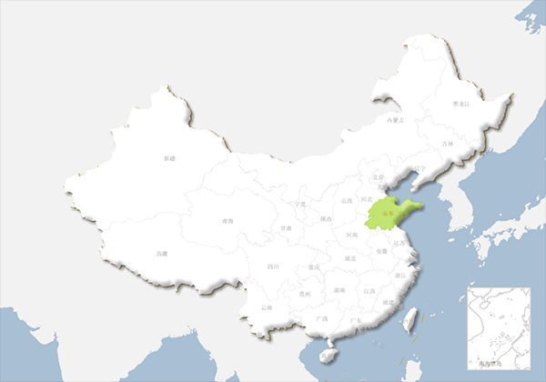 山东分公司